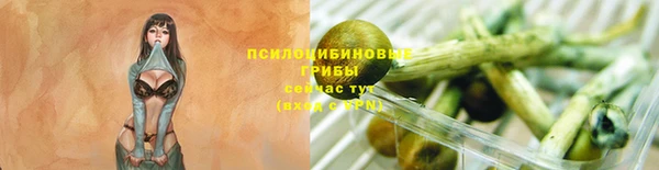 марки nbome Аркадак