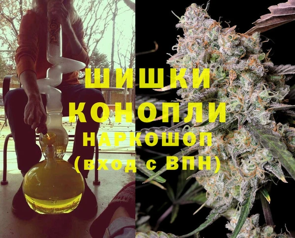 тгк Дмитров