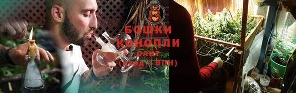 индика Дмитриев