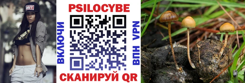 Псилоцибиновые грибы Magic Shrooms Белая Холуница